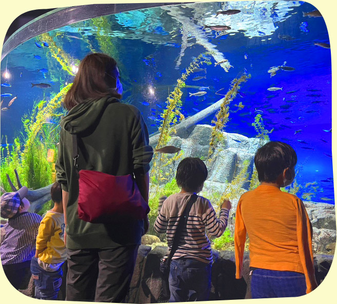 水族館の様子